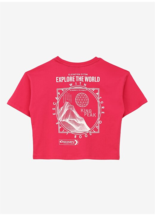 Discovery Expedition Pembe Kız Çocuk Bisiklet Yaka Oversize Baskılı T-Shirt D4SG-TST3095 2