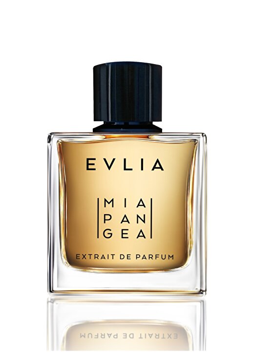Mia Pangea Evlia 100 Ml Parfüm 2