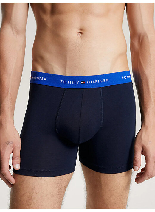 Tommy Hilfiger Bej Erkek Boxer UM0UM027650RW 2