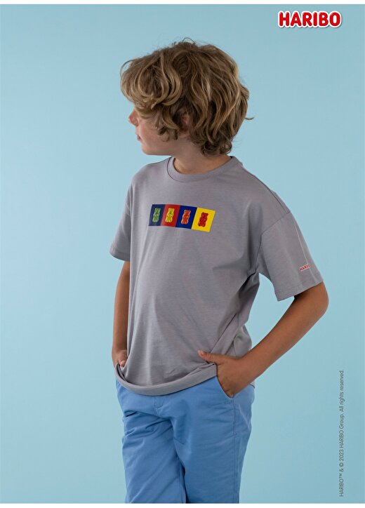 Haribo Baskılı Gri Erkek T-Shirt Haribo Erkek Çocuk T-Shirt 2