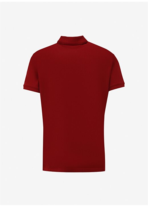 Tommy Jeans Düz Kırmızı Erkek Polo T-Shirt DM0DM18314XMO 2