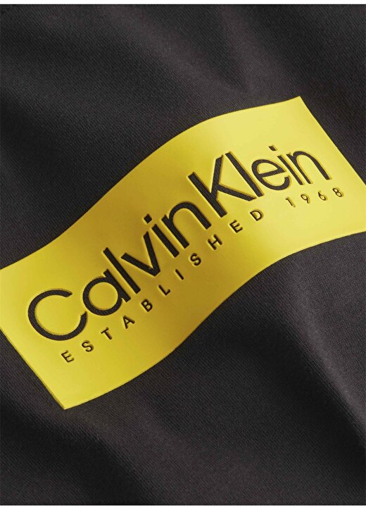 Calvin Klein Bisiklet Yaka Siyah Erkek T-Shirt K10K112403BEH 2