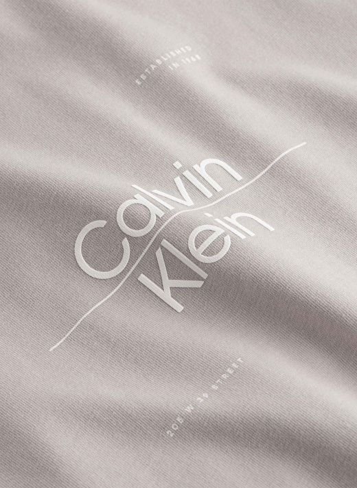 Calvin Klein Bisiklet Yaka Gri Erkek T-Shirt K10K112489PAN 2