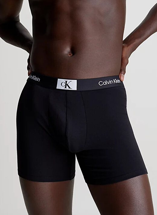 Calvin Klein Siyah Erkek Boxer 000NB3529AMTF 3