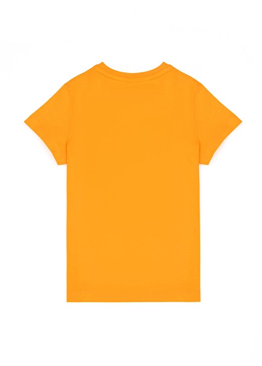 U.S. Polo Assn. Turuncu Erkek T-Shirt GEARTKIDSIY024 2