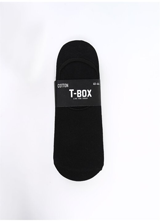 T-Box Siyah - Gri - Beyaz Kadın Babet Çorabı 5Lİ BABET-KDN 2
