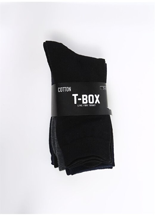 T-Box Siyah - Lacivert - Antrasit Kadın Soket Çorap 5Lİ SOKET KDN 2