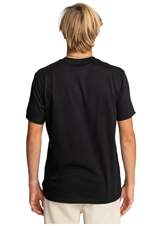 Billabong Siyah Erkek Bisiklet Yaka Regular Fit Desenli T-Shirt EBYZT00143_INVERSED TEES 4