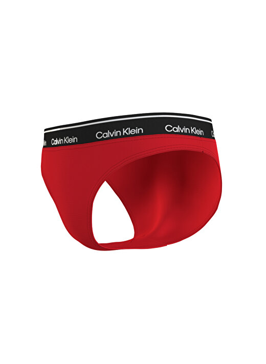 Calvin Klein Bikini Alt  2