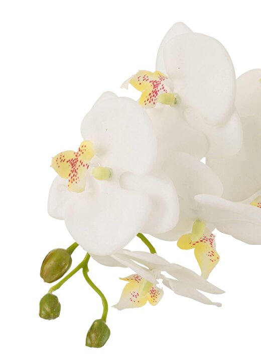 Dekoratif Orkide 75cm 2