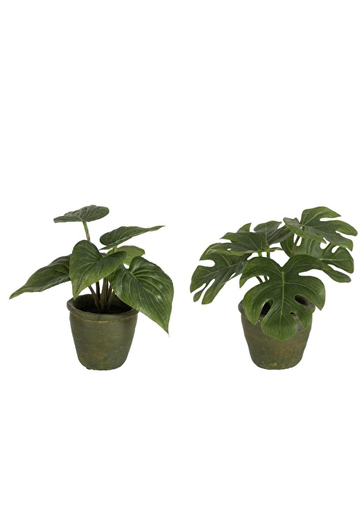 Dekoratif Philodendron Çiçek 2li Set 1