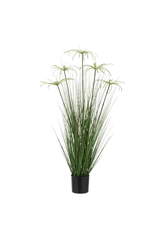 Dekoratif Saksılı Cyperus 100cm 1