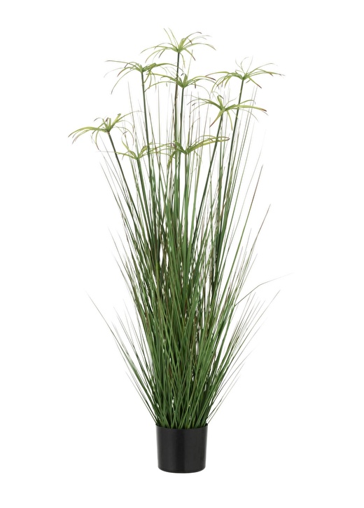 Dekoratif Saksılı Cyperus 132cm 2