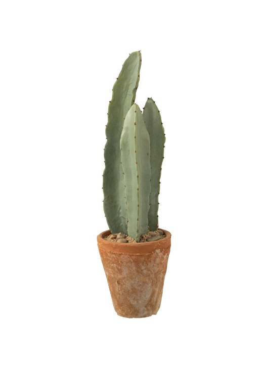 Dekoratif Saksılı Kaktüs Bitkisi 47cm 1
