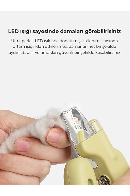 Kedi Tırnak Makası, Lazer Işını ile Tırnak İçi Damarlarını Görme, UV Işını İle Bakterileri Görme 2