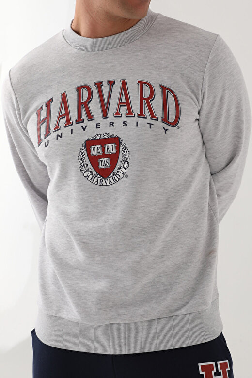 Harvard Kar Melanj Erkek Sweatshirt 3