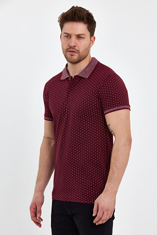 RodiMood Regular Fit Puantiyeli Polo Yaka T-shirt RD23YE027001 4