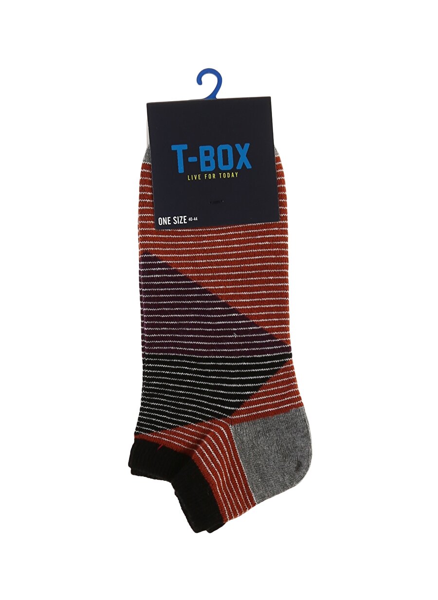 T-Box Çizgili Kahverengi Çorap
