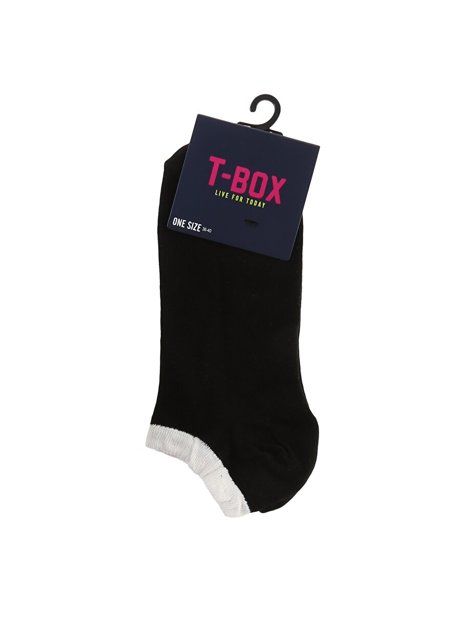T-Box Siyah Soket Soket Çorap