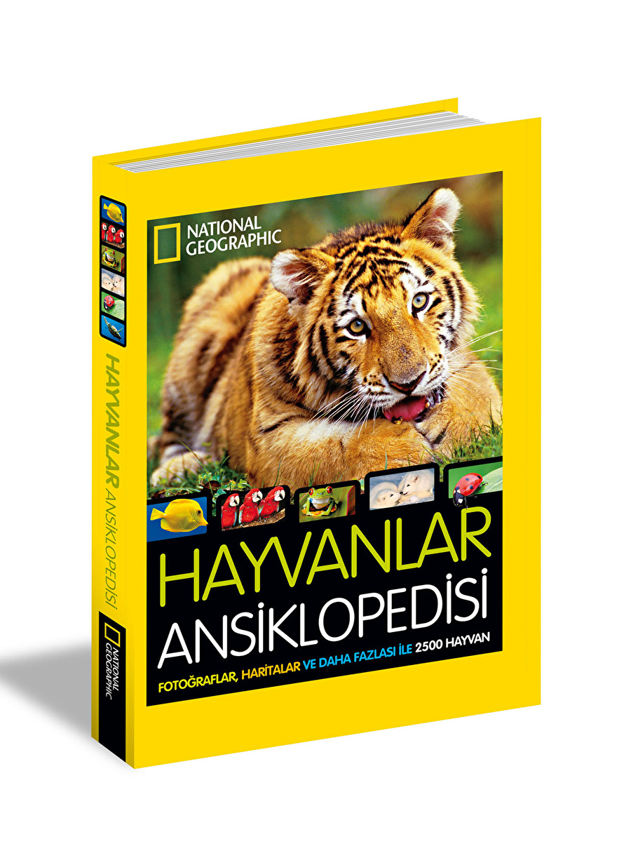 Beta Kids Hayvanlar Ans. Kitap