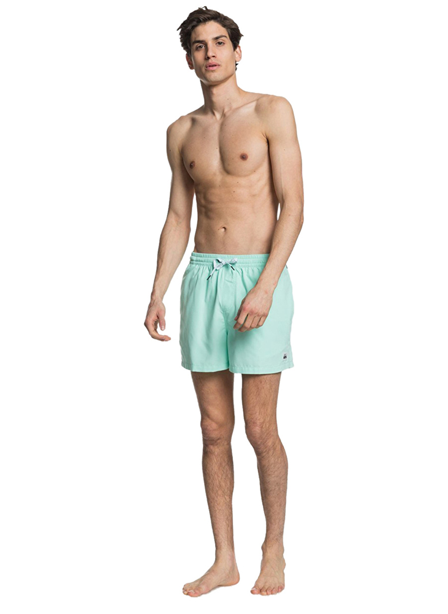 Flash sale 30 swim quiksilver. Мужские плавательные шорты everyday 15". Плавательные шорты Quiksilver everyday 15". Quicksilver Volley shorts. Мужчина 50 в шортах для плаванья.