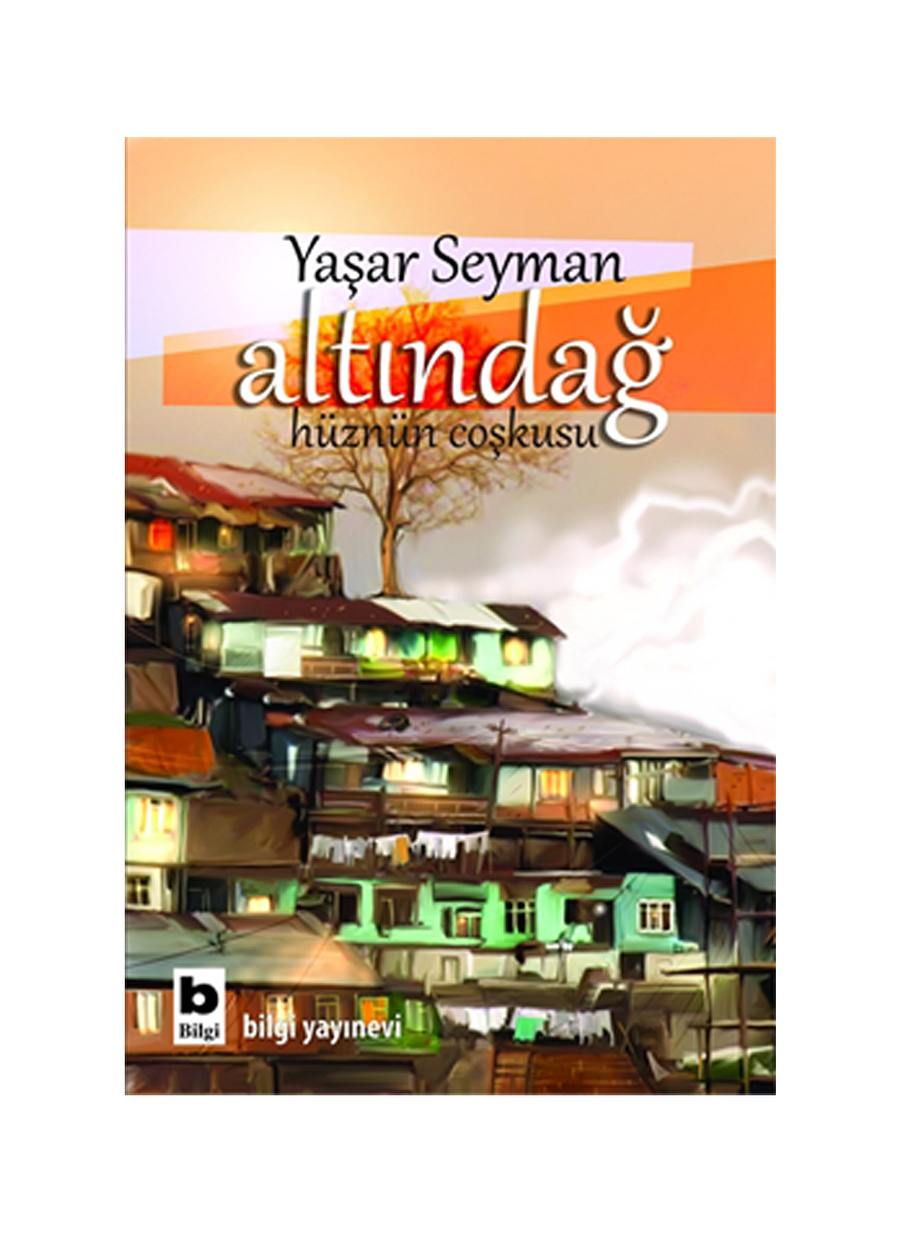 Bilgi Kitap Yaşar Seyman - Altındağ Hüznün Çoşkusu Altındağ Hüznün Çoşkusu