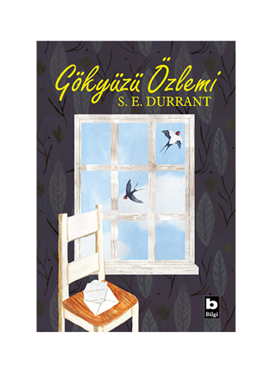 Bilgi Kitap S. E. Durrant - Gökyüzü Özlemi Gökyüzü Özlemi