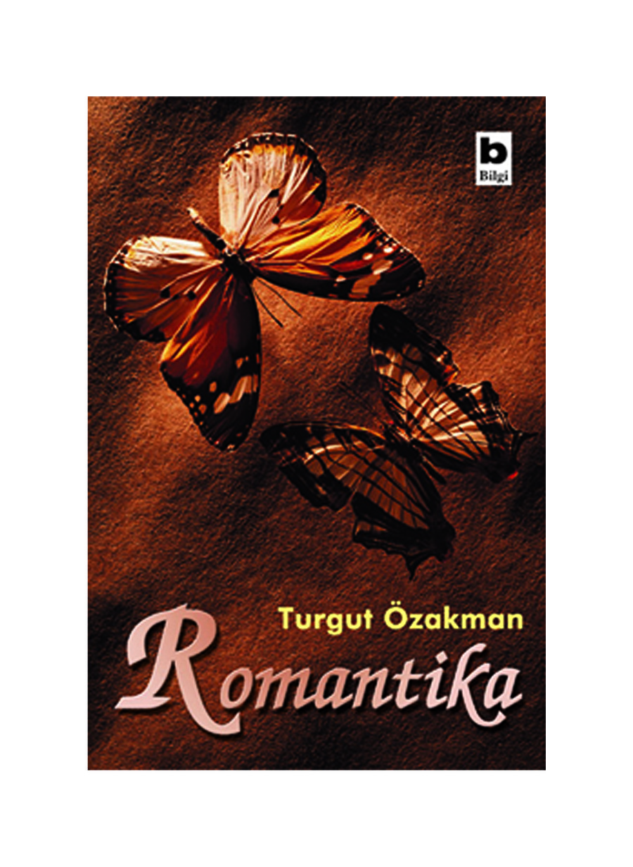 Bilgi Kitap Romantika