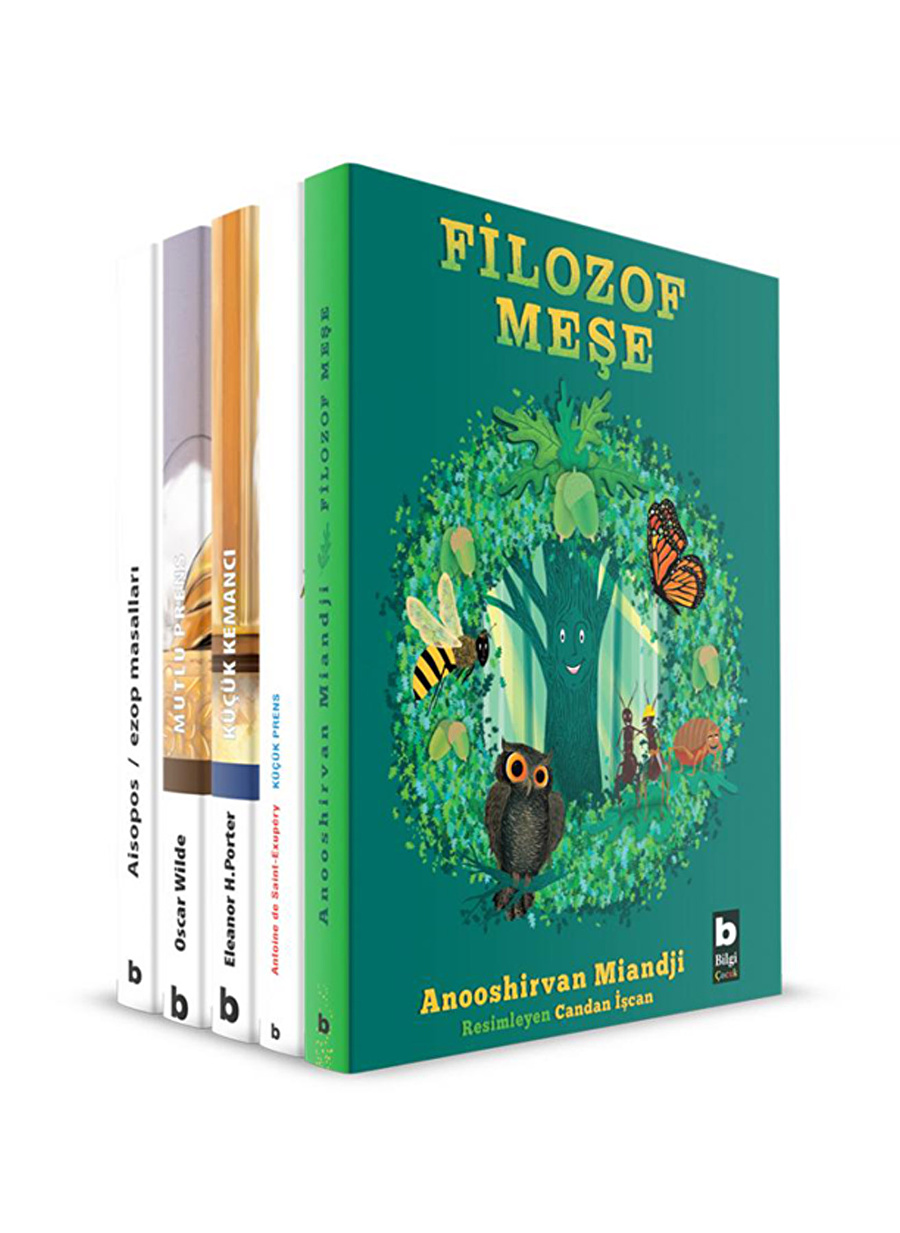 Bilgi Kitap Sanat Ve Felsefe Dizisi (5Kitap)