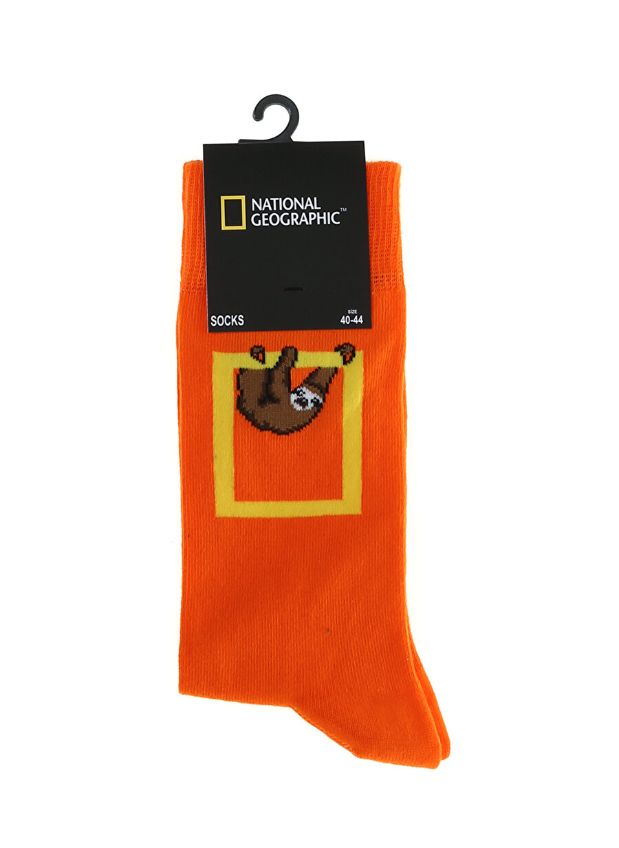 National Geographic Maymun Desenli Turuncu Erkek Çorap