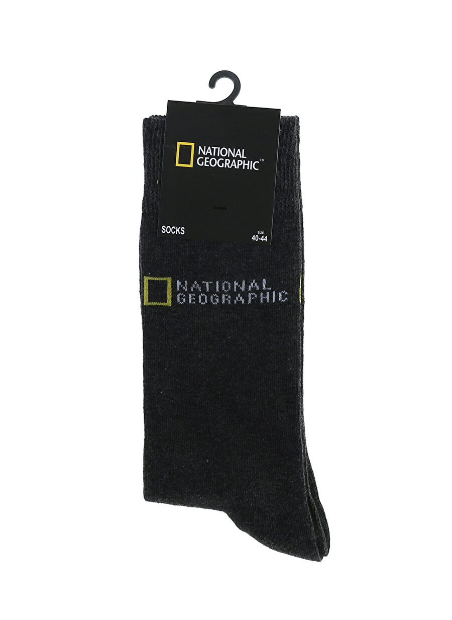 National Geographic Logolu Soket Gri Uzun Çorap