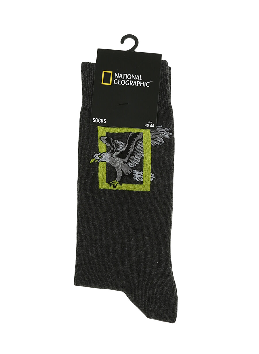 National Geographic KARTAL Antrasit Erkek Jakarlı Çorap