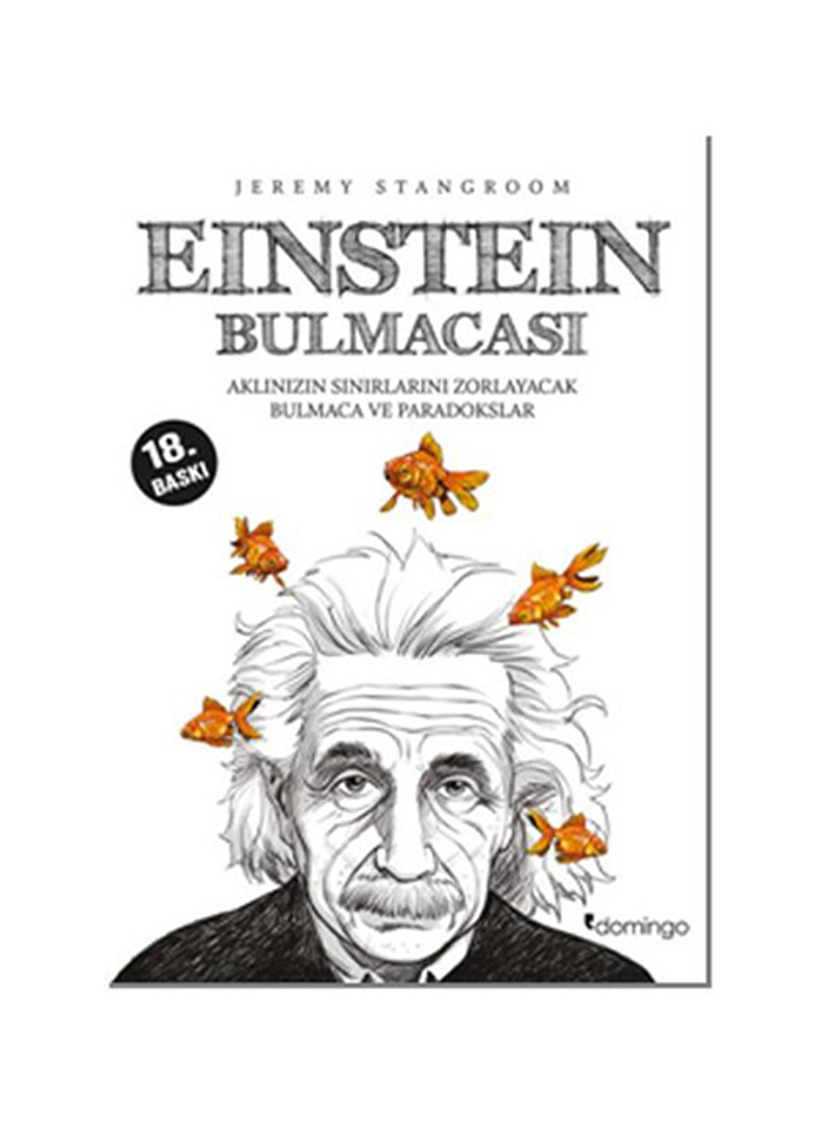 Domingo Kitap Jeremy Stangroom Einstein Bulmacası Aklınızın Sınır