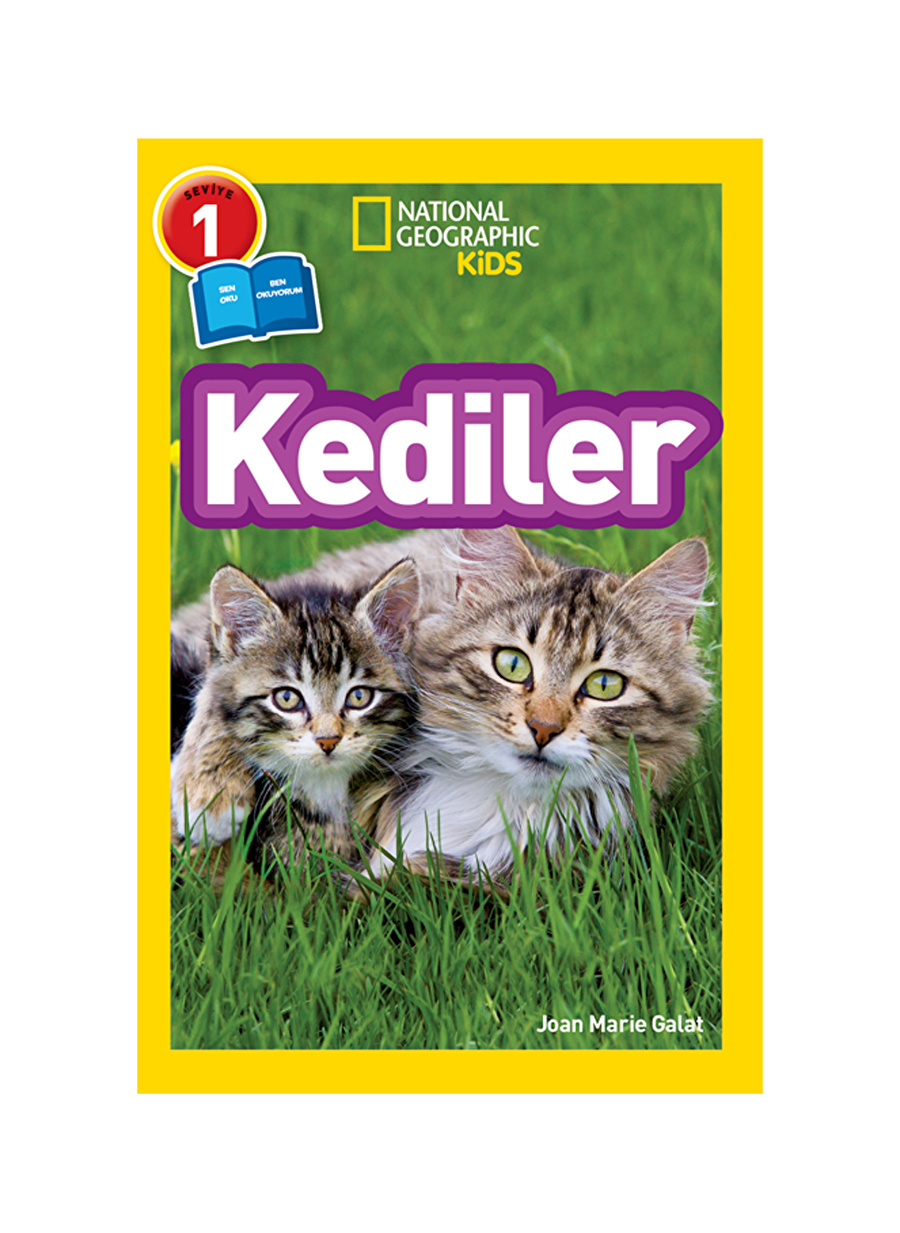 Beta Kids Kediler Kitap