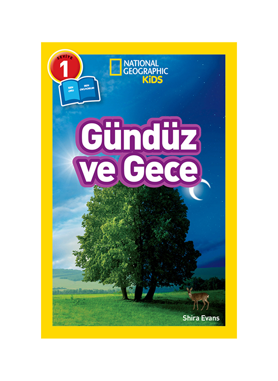 Beta Kids Kitap Gündüz Ve Gece