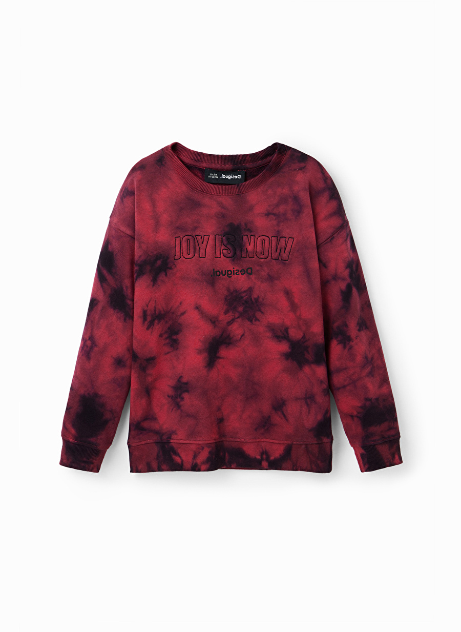 Desigual Çok Renkli Erkek Çocuk Bisiklet Yaka Uzun Kollu Desenli Sweatshirt 22WBSK11