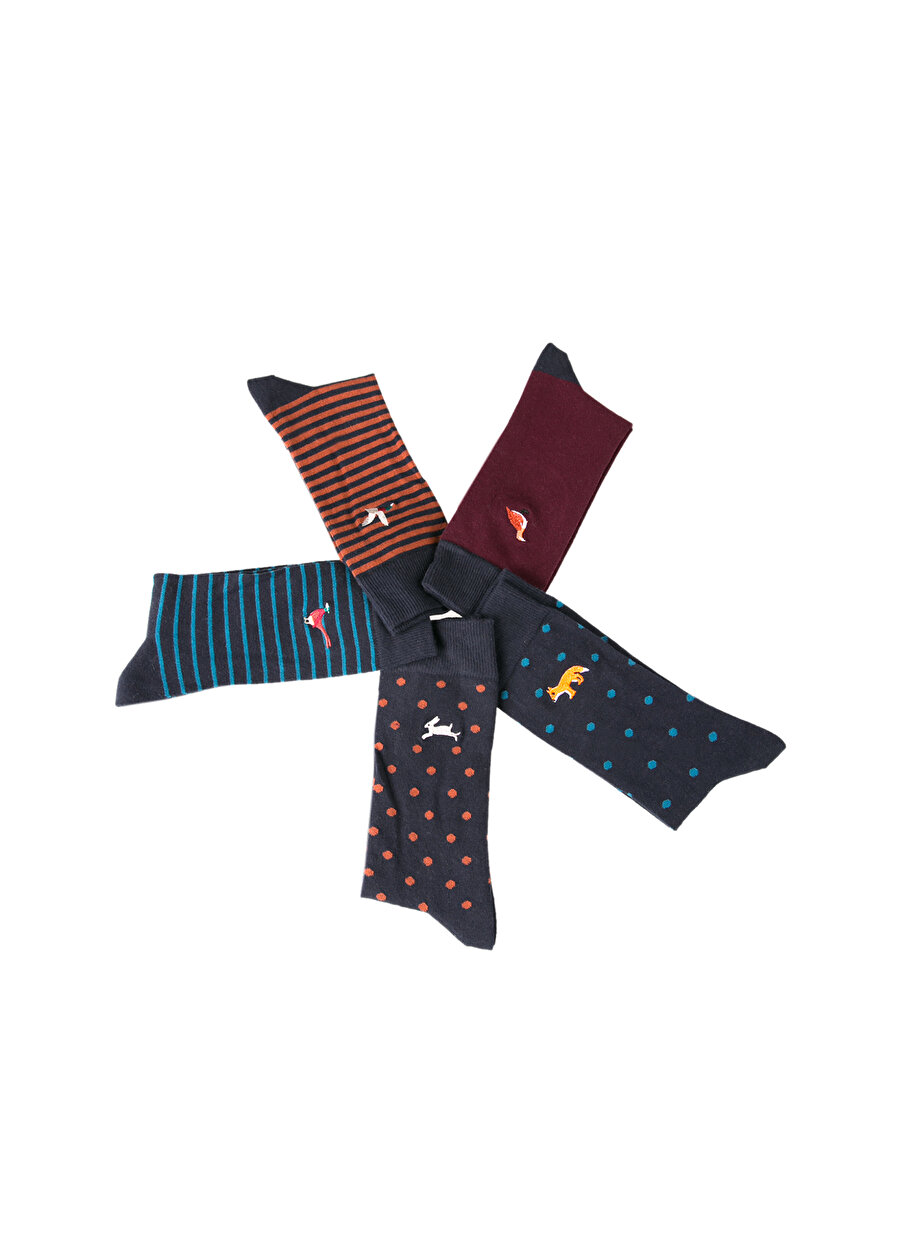 Cozzy Socks Kutulu 5'li Nakışlı Çok Renkli Erkek Çorap CZY22M-002