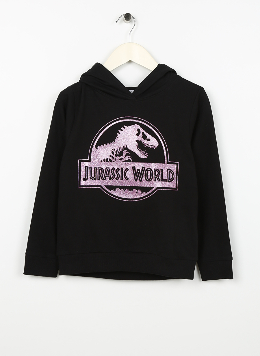 Name İt Kız Çocuk Siyah Sweatshırt NKFJORDI JURASSIC SWEAT UNB VDE