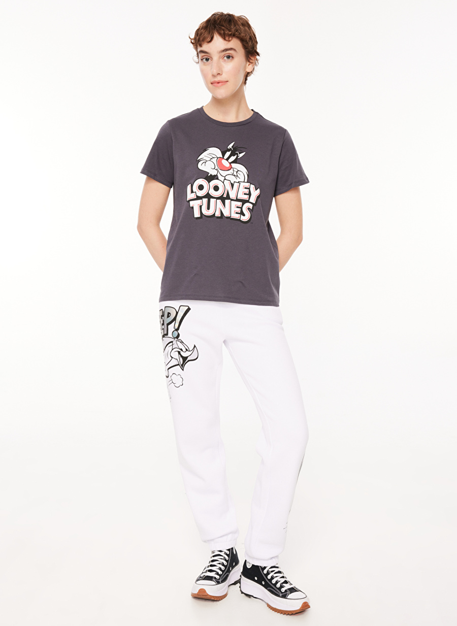 Never Say Never Kadın Antrasit Bisiklet Yaka Crop Düz LOONEY TUNES  T-Shirt