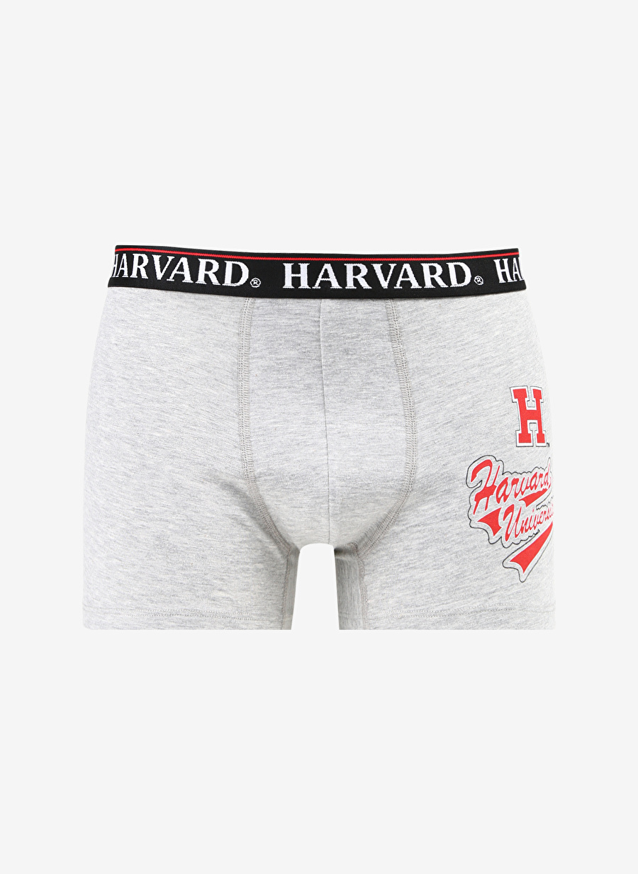 Never Say Never Erkek Gri Melanj HARVARD Boxer BYL3701