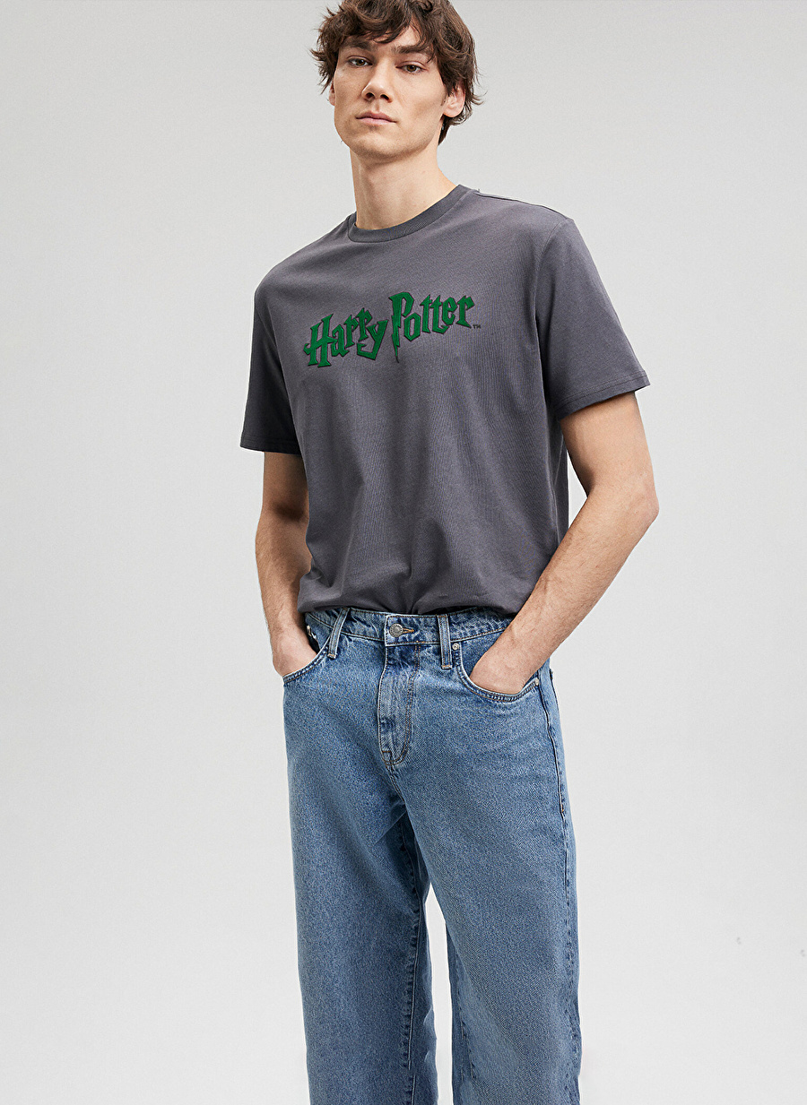 Mavi Düz Yaka Düz Antrasit Erkek T-Shirt M0611978-80106_HARRY POTTER TİŞÖRT