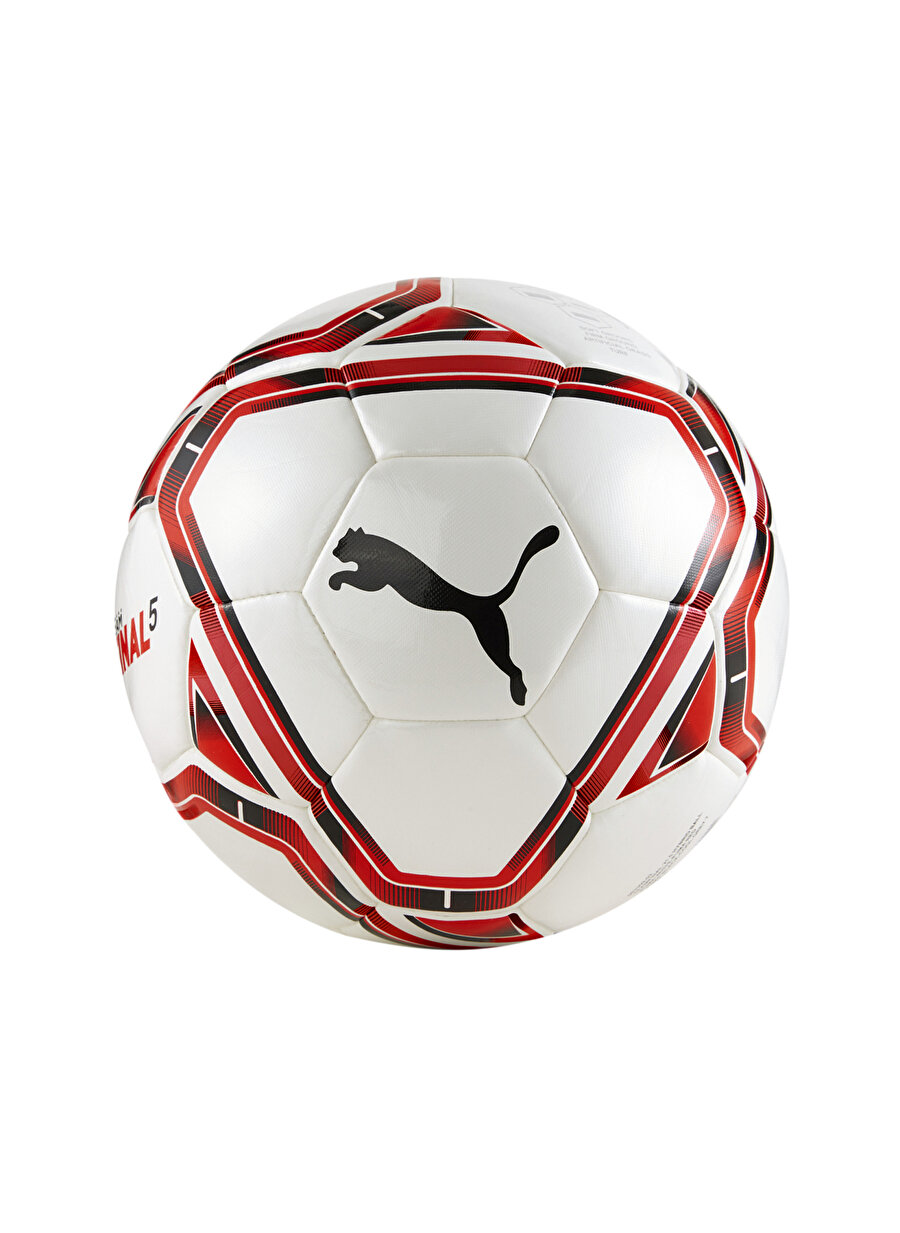Puma Futbol Topu