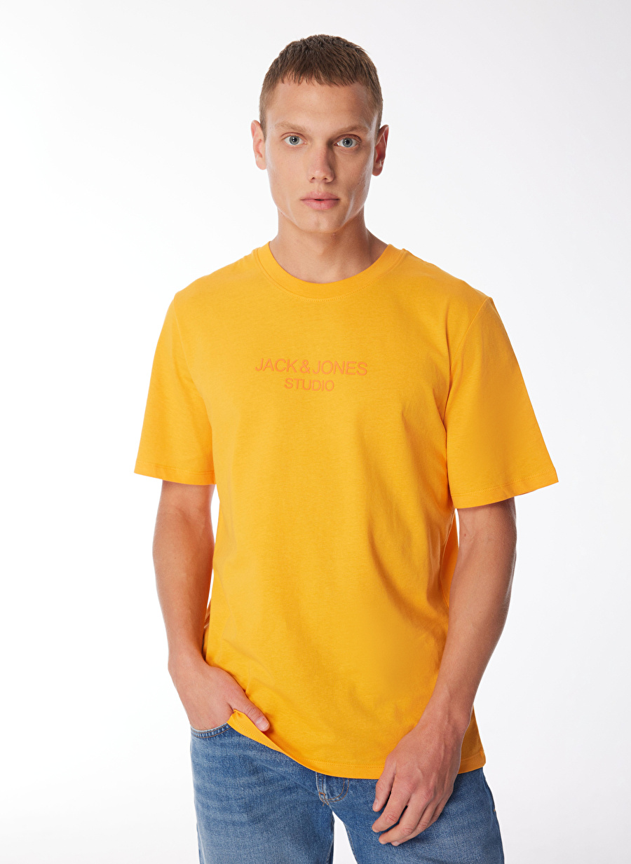 Jack & Jones Yuvarlak Yaka Turuncu Erkek T-Shirt JPRBLULOUI TEE SS CREW NECK EXC