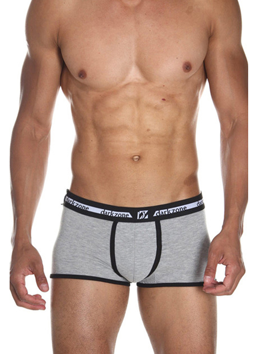 Darkzone Gri Erkek Boxer DZN3225