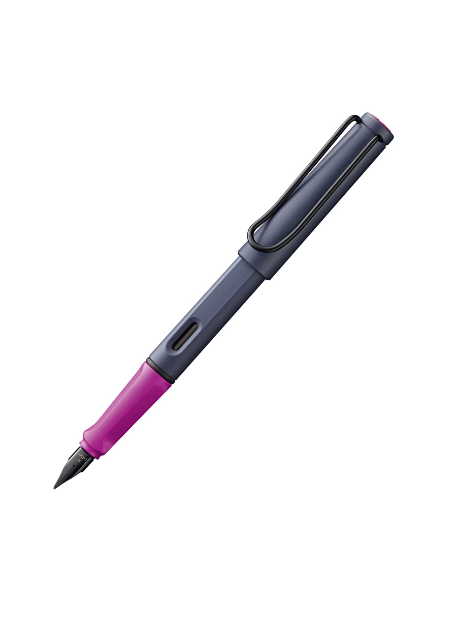 Lamy Kalem 0D7-PC-M