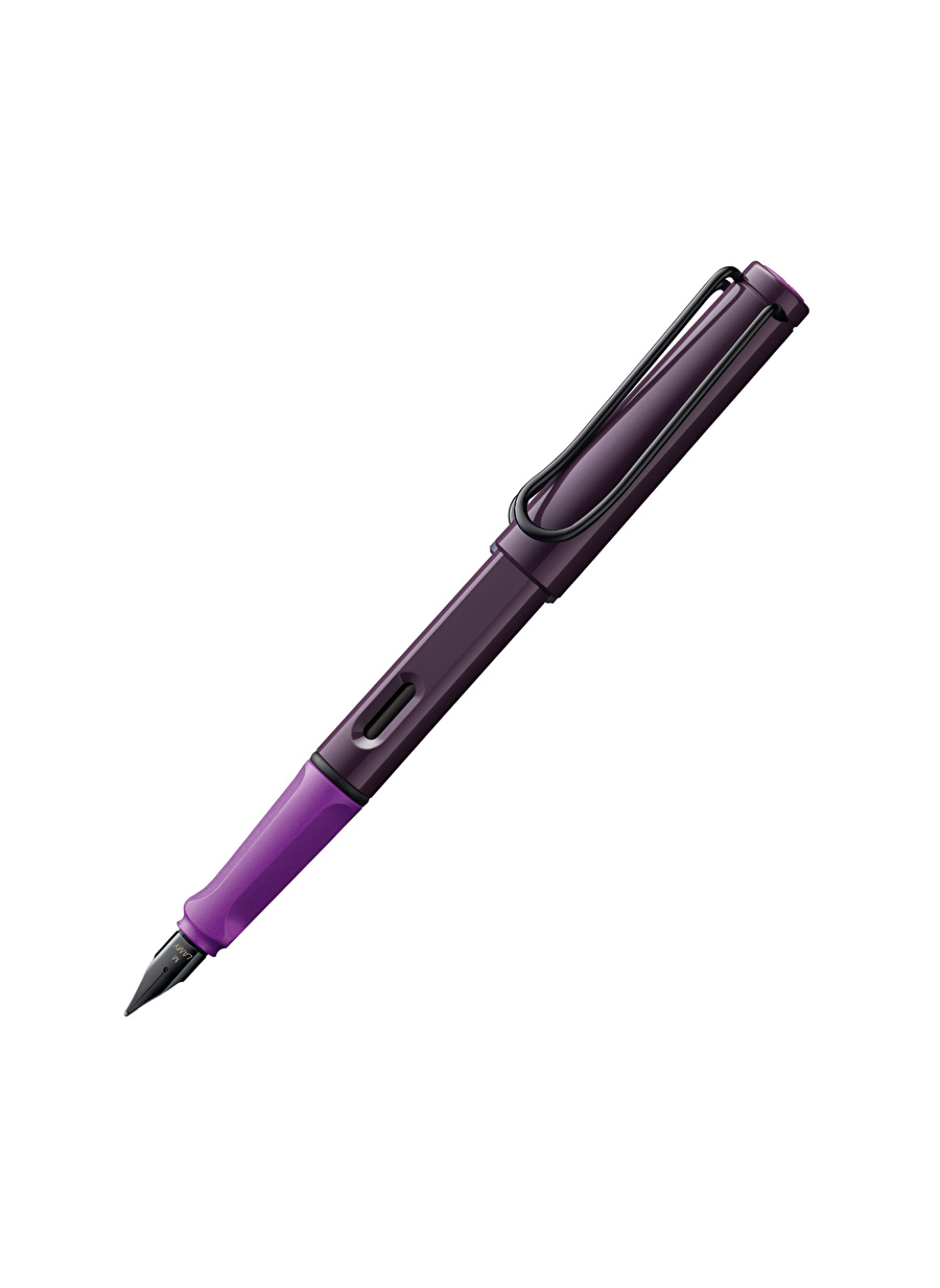 Lamy Kalem 0D8-VB-M