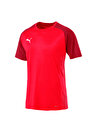Puma 65605101 CUP Sideline Tee Core O Yaka  Normal Kalıp Düz Kırmızı Erkek T-Shirt