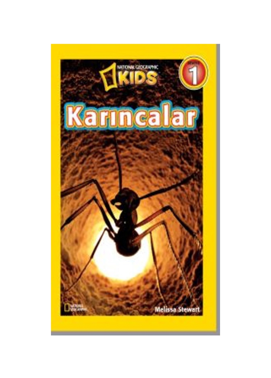 Beta Kids Karıncalar Kitap