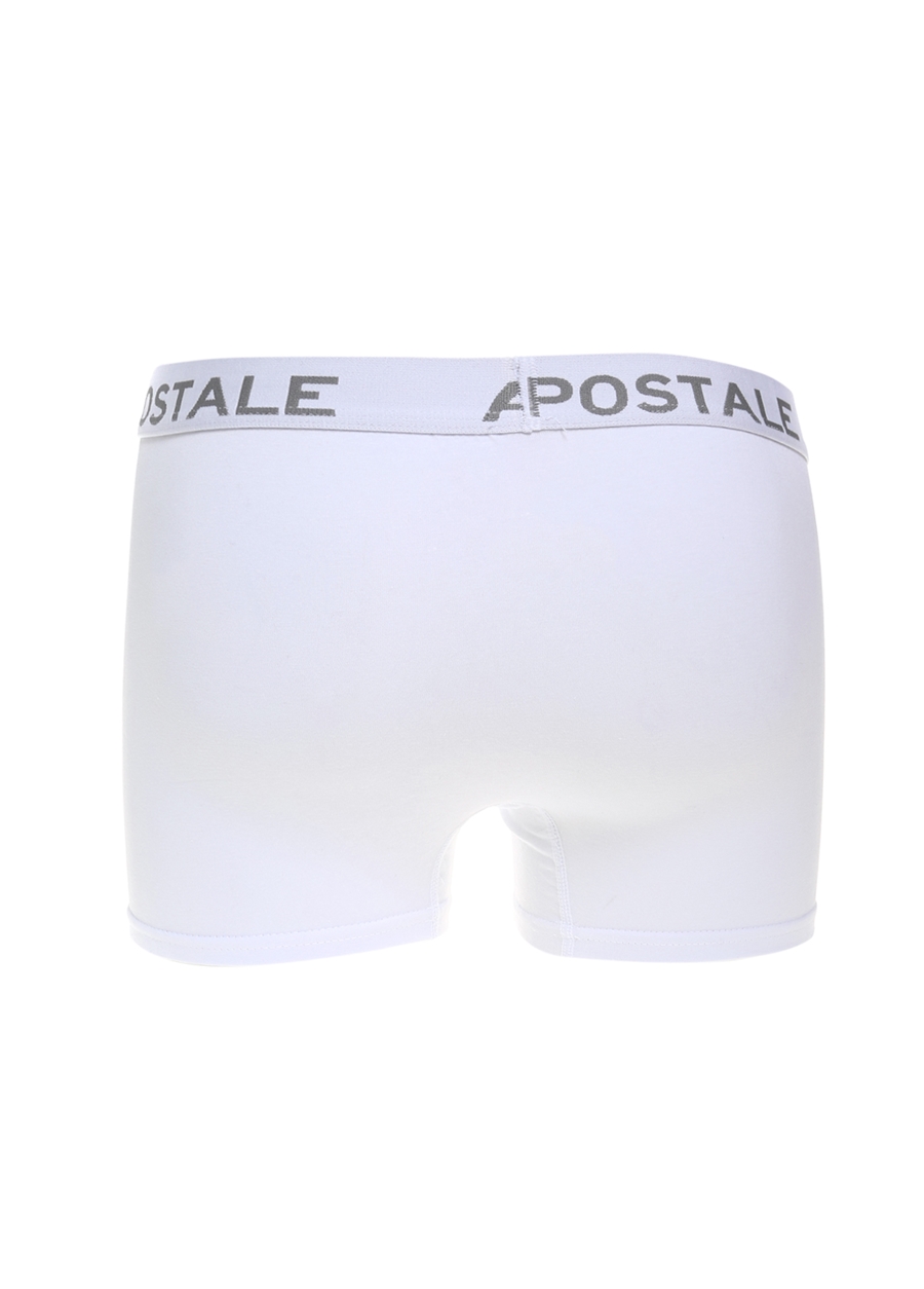 Aeropostale Normal Kalıp Beyaz Erkek Boxer - AP-BXR04_1