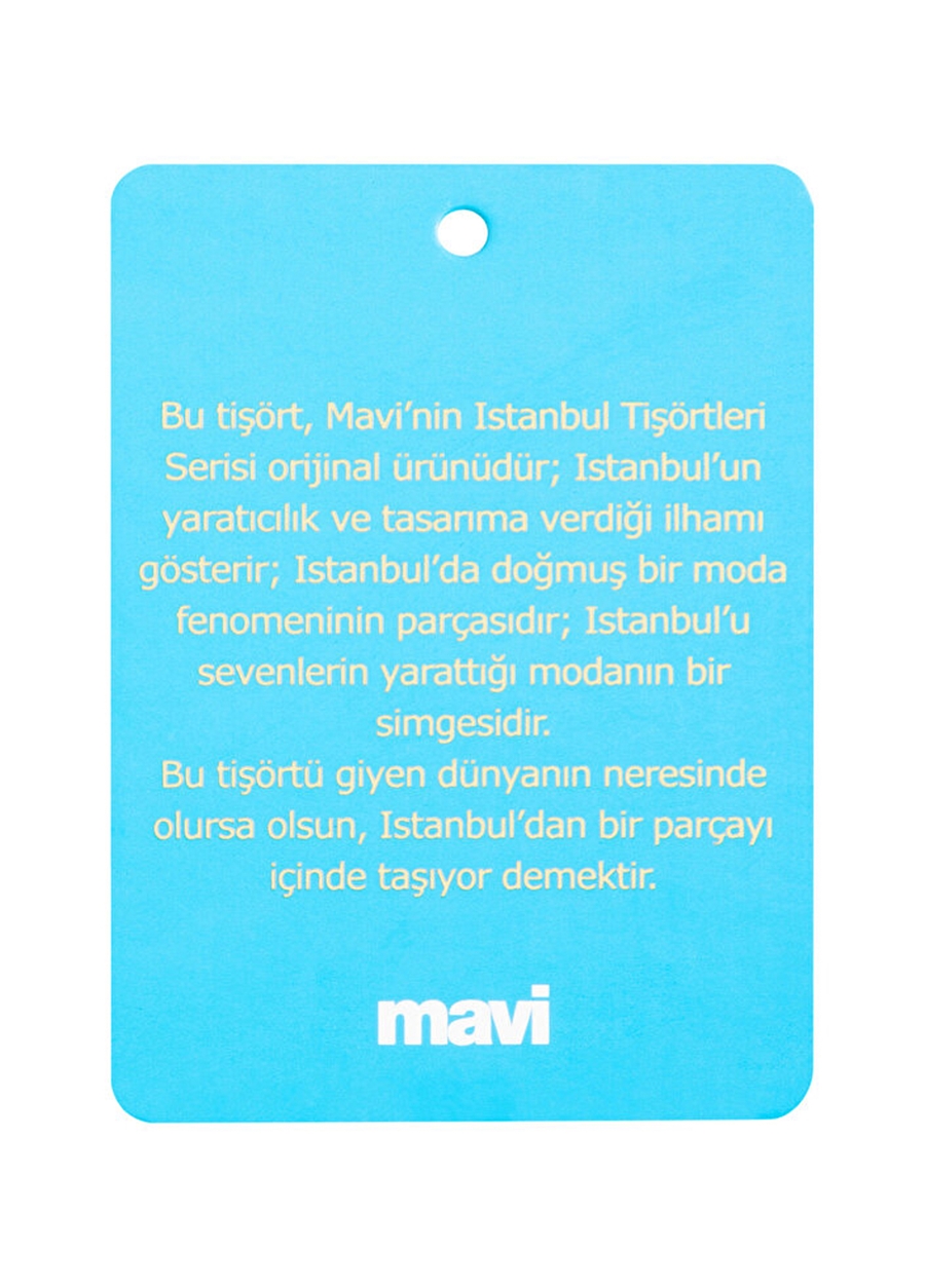 Mavi M1610222-70816 Bisiklet Yaka Normal Kalıp Mavi Kadın T-Shirt_6